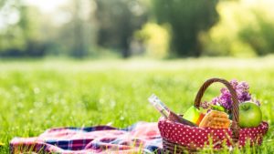 Picknick Stor